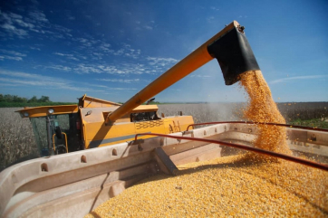 Франция готова экспортировать зерно с фосфином за пределы ЕС